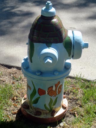 Nemo - 433 S. Illinois (2)